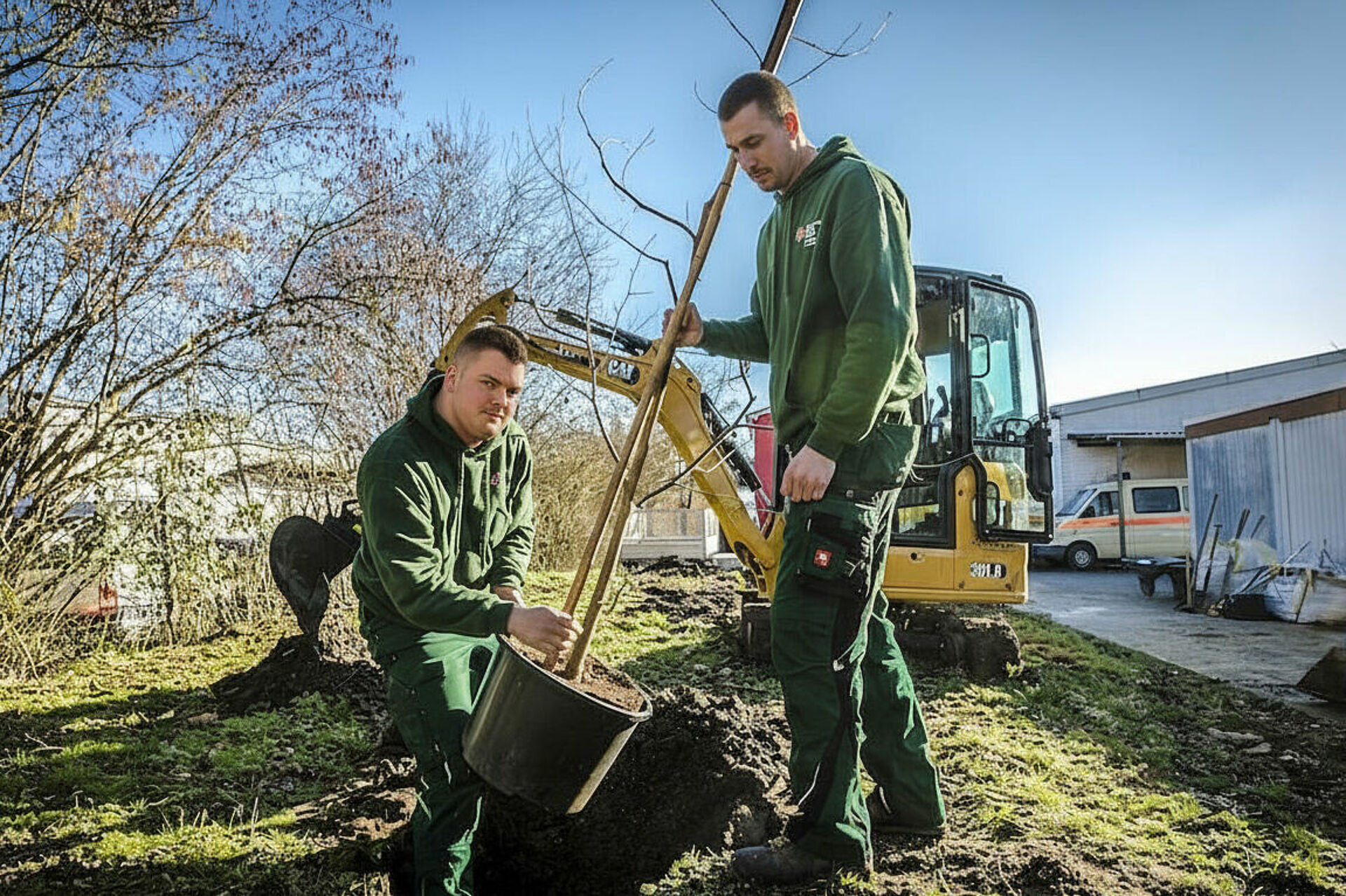 DRK Hausmeisterservice Mittelhessen – Baumpflege durch Alltagshelden DRK-Mitarbeiter auf Leiter schneidet Baumäste