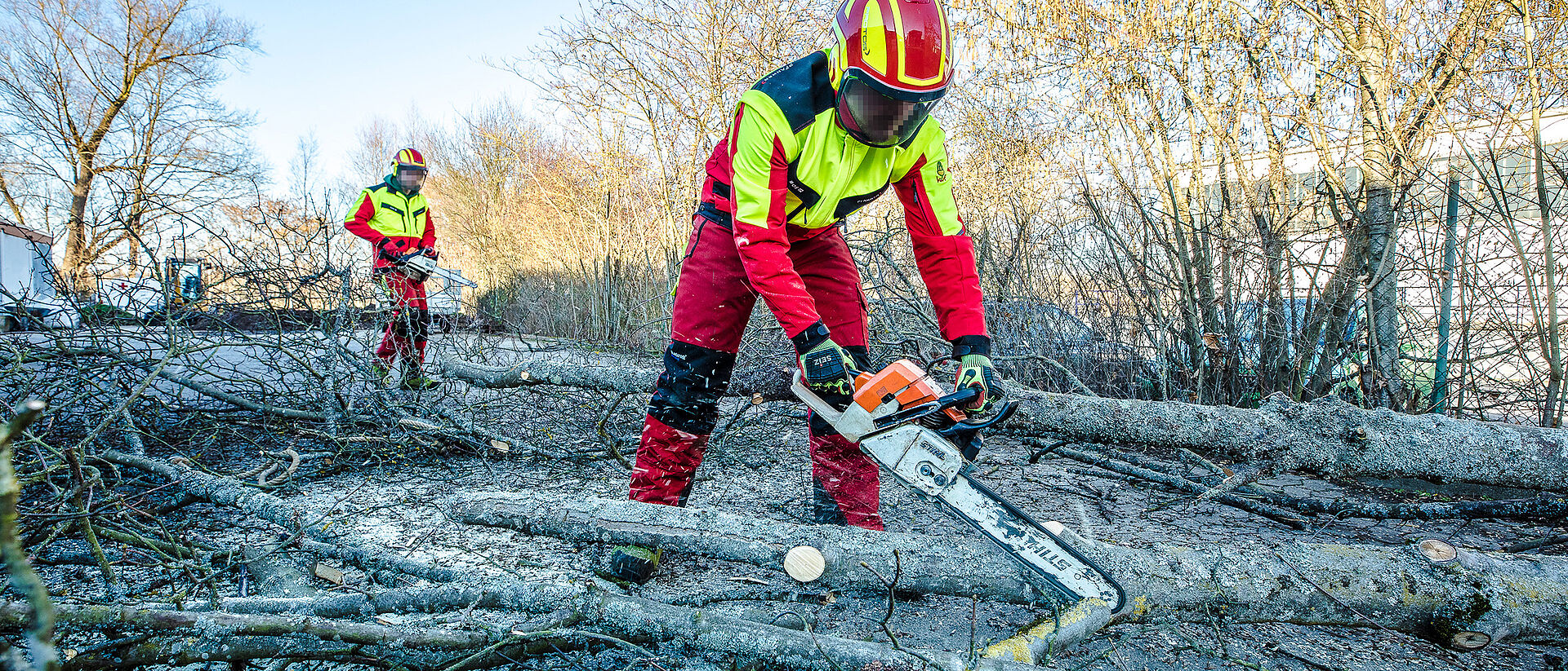 Professioneller Garten- und Landschaftsbau vom DRK Mittelhessen Zwei Mitarbeiter des DRK Mittelhessen zersägen gefällte Äste mit der Motorsäge beim Garten- und Landschaftsbau