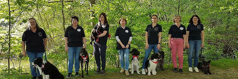 Teambild_Therapiehunde Teambild_Therapiehunde